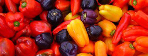 Capsicum Annuum